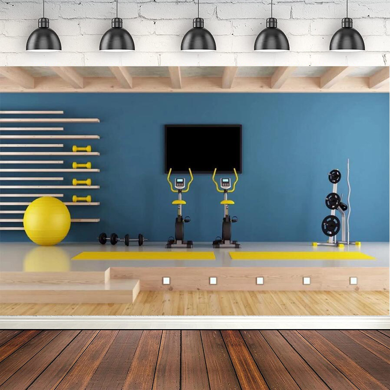 Photography Backdrop Home Gym  - Yoga Fitness Online 评论和价格