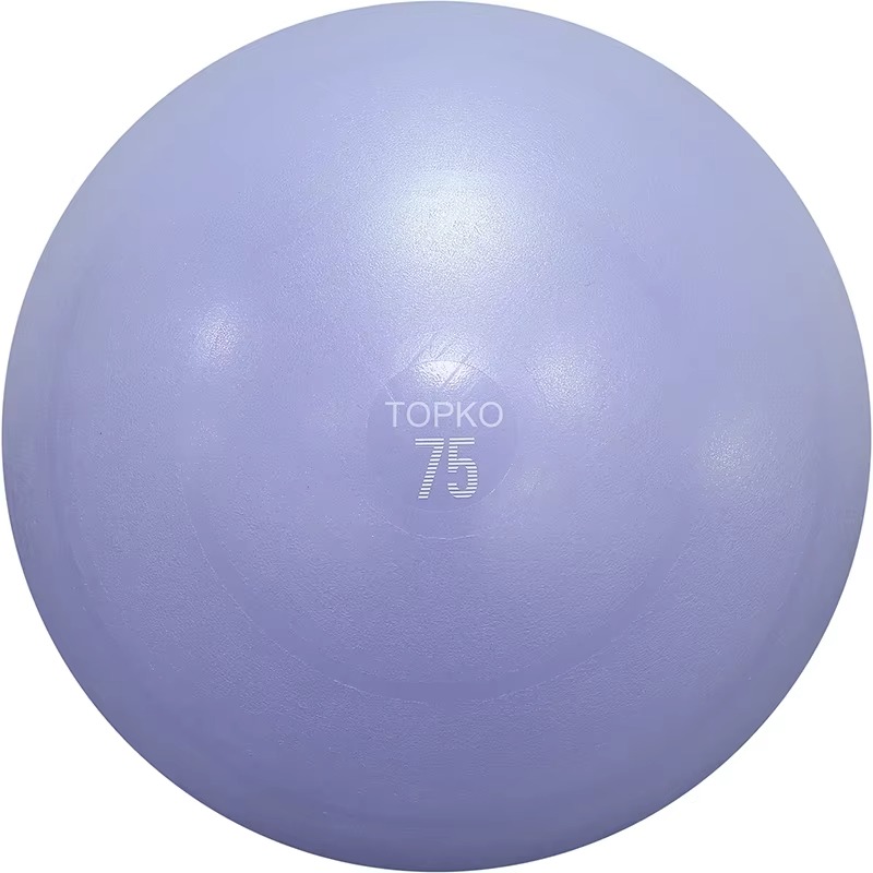 YTYIN TOPKO Yoga Ball Exercise - Exercise Ball Stability 评论和价格