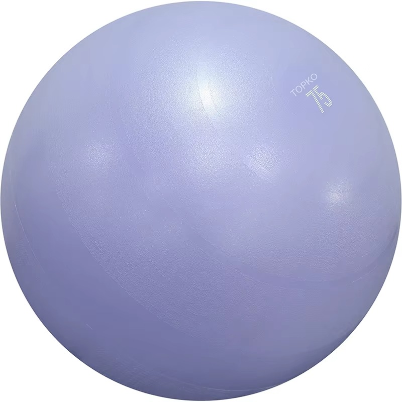 YTYIN TOPKO Yoga Ball Exercise - Exercise Ball Stability 评论和价格