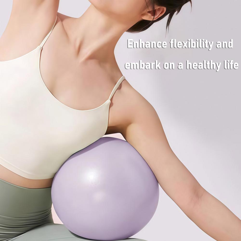 Small Pilates Exercise Ball Pe - Exercise Ball Stability 评论和价格